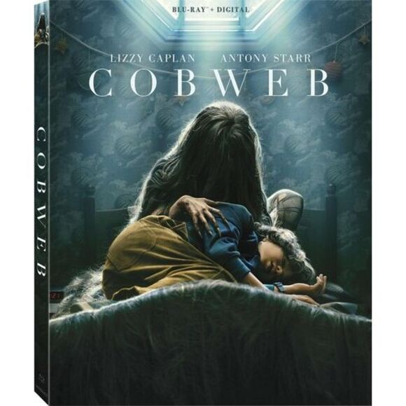 Cobweb - Picture 1 of 1